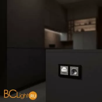 Датчик движения (серебряный) Werkel W1155106 a054899 - Фото 3