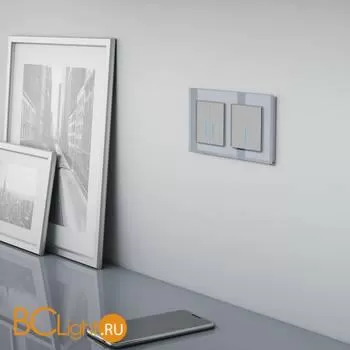 Сенсорный выключатель двухклавишный с подсветкой 1000 Вт (серебряный) Werkel W4520006 a057681 - Фото 0