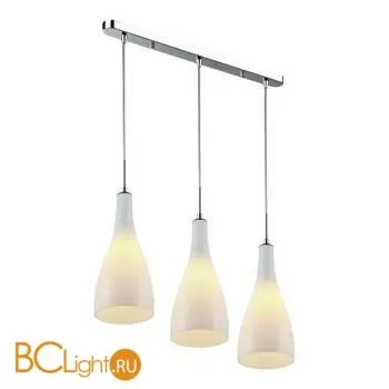 Подвесной светильник Wertmark Bootle WE210.03.106