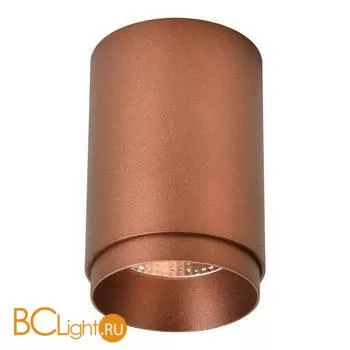 Потолочный светильник Wertmark Stecken WE801.01.607