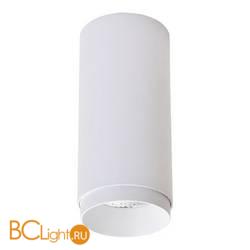 Потолочный светильник Wertmark Stecken WE802.01.007 Потолочный светильник Wertmark Stecken WE802.01.007