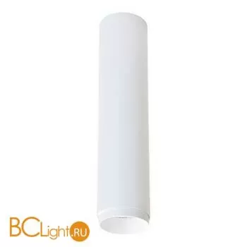 Потолочный светильник Wertmark Stecken WE803.01.007