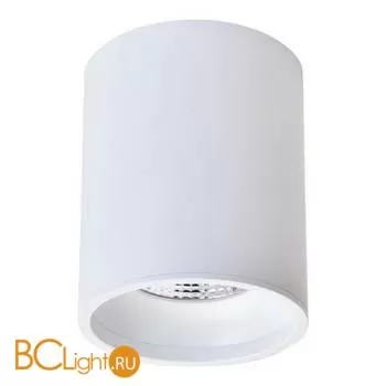 Потолочный светильник Wertmark Stecken WE804.01.007